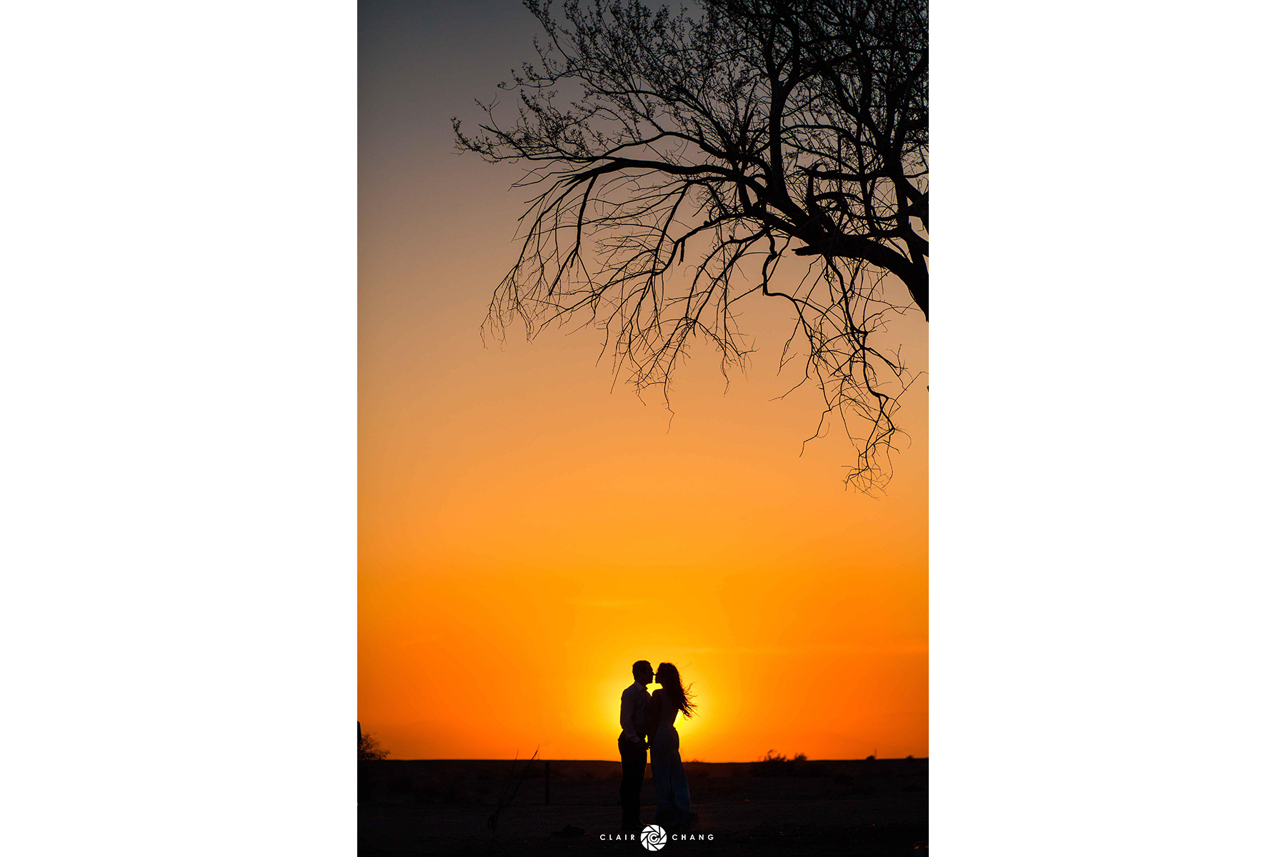 AMY PABLOE SUNSET TREE LOGO