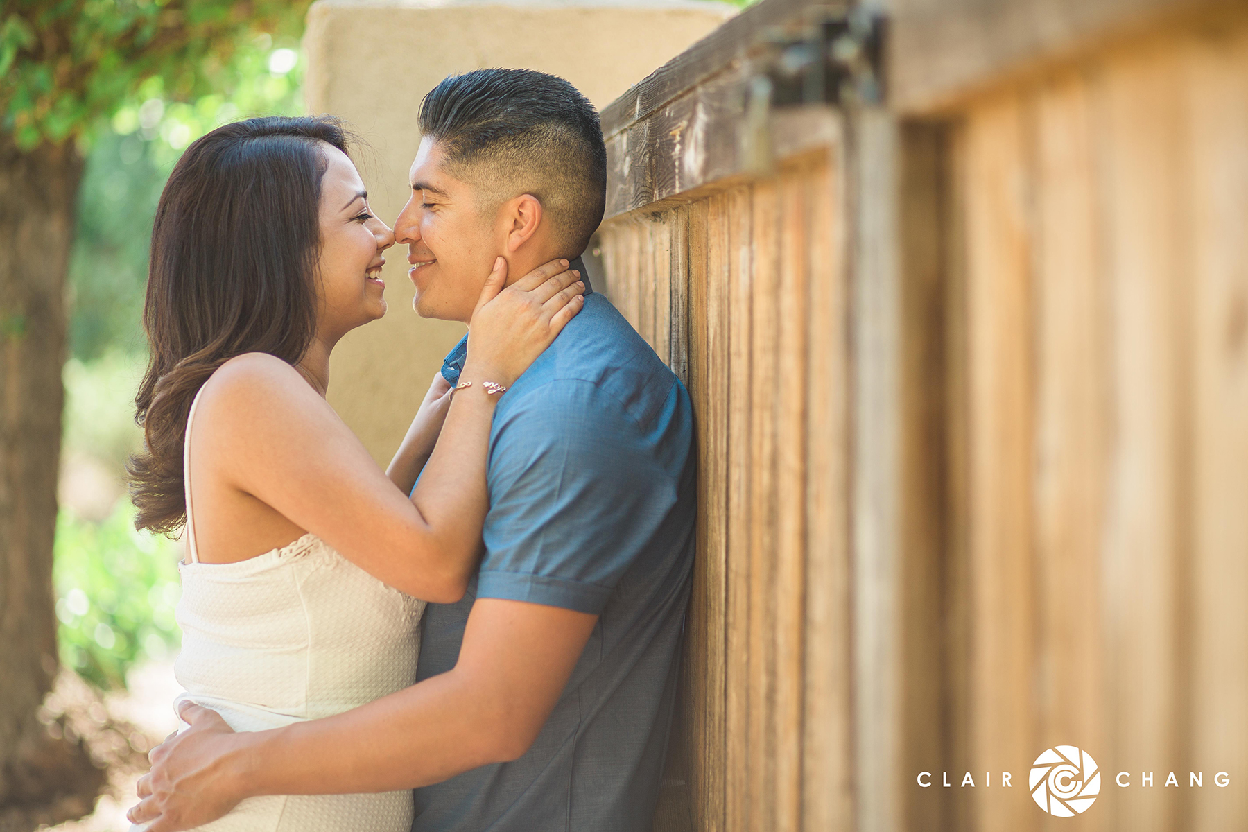 TRISH MARIO FENCE LOGO